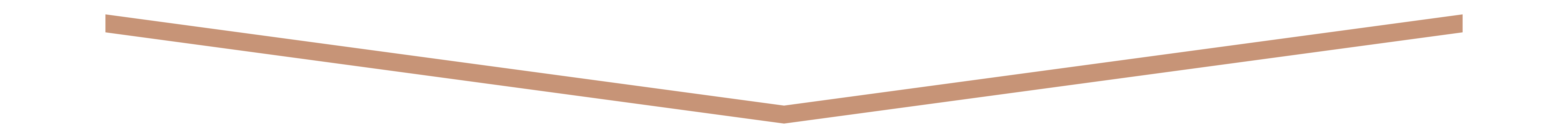 home__slider_bottom-1024x85